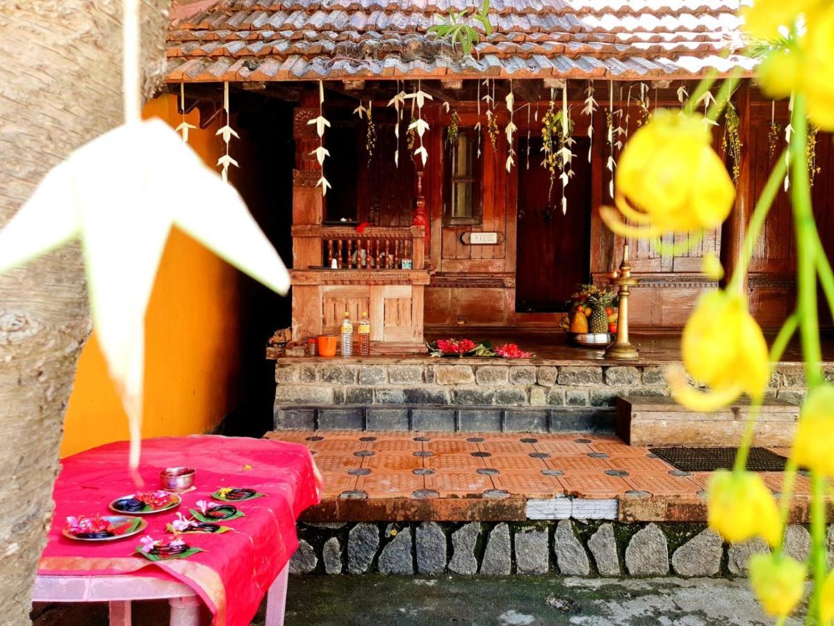 Thriphala Ayurveda Yogashram Διαμέρισμα Thiruvananthapuram Εξωτερικό φωτογραφία